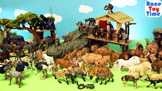 Safari Animal Toys Figurines Collection [upl. by Hehre]