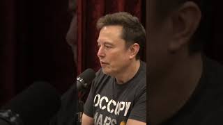 Joe Rogan and Elon Musk Talk About Pnut The Squirrel jreclips comedian 2024election podcast [upl. by Abisha713]