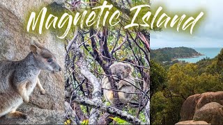 Magnetic Island Roadtrip East Coast Weltreise Vlog 64 Australia 🦘 [upl. by Yellas]