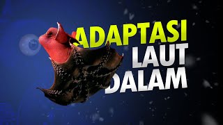 Adaptasi Makhluk Laut Dalam AlamSemenit [upl. by Ethbin]