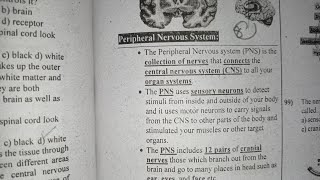 Top Most Repeated Science Class 8 MCQs About Peripheral Nervous System•Human Nervous System MCQs [upl. by Nolak]