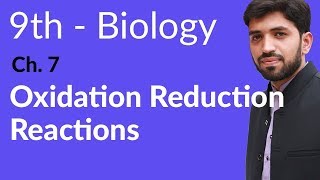 Matric part 1 Biology Oxidation Reduction Reactions  Ch 7 Bioenergetics  9th Class Biology [upl. by Neomah]