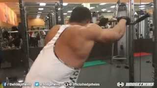 Bodybuilding Back amp Arms Workout [upl. by Haramat998]