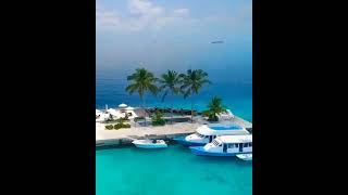 The Maldives Resort Island Vlog So Beautiful [upl. by Allemat]