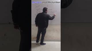 Mechanism of Micturition  Excretory Product amp Their Elimination  Process Of Urination  Part2 [upl. by Lydnek]