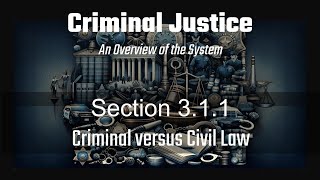 Section 311 Criminal versus Civil Law [upl. by Adlay]