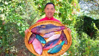 Colorful Fish From Deep Sea Cooked in Sour Sweet Spicy 5Flavor All at Once Uncle Rural Gourmet [upl. by Mars]