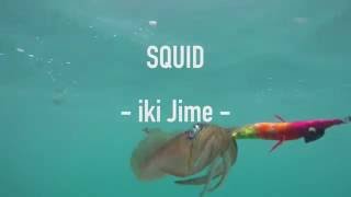 squid Iki Jime [upl. by Onaicilef]