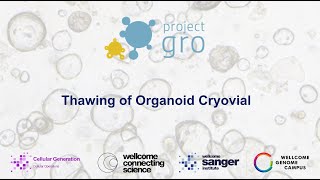 Thawing of Organoid Cryovial [upl. by Hedda903]