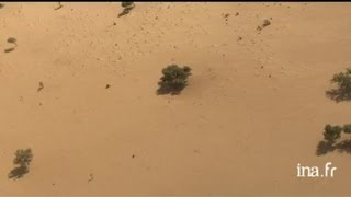 Mali  puits dans le désert troupeaux de dromadaires et moutons [upl. by Keavy529]