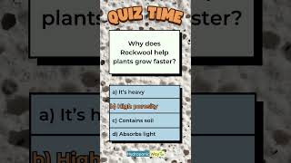 How Rockwool Promotes Faster Plant Growth hydroponicway hydroponics shorts quiz quiztime [upl. by Dumah]