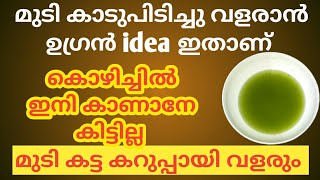 Hair growth tips Daily Black hair growth malayalam [upl. by Yellah]