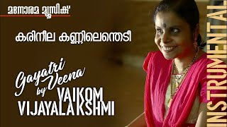 Karineela Kannil Enthedi  Film Songs Instrumental  Gayathri Veena  Vaikom Vijayalakshmi [upl. by Isus]