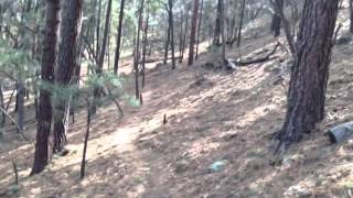 Deer Canyon Disc Golf Kingman AZ [upl. by Xenos855]