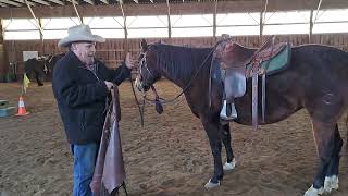 Horsemanship Groundwork pointers for sacking out safely and the use of your energy while doing it [upl. by Urban5]