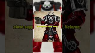 every space marine chapter explainedAngels of Damnation…tabletopgames spacemarines warhammer40k [upl. by Borreri]