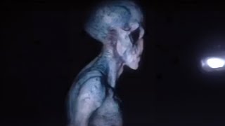 Alien Photos That Were Stolen Out Of Area 51 [upl. by Kynan115]