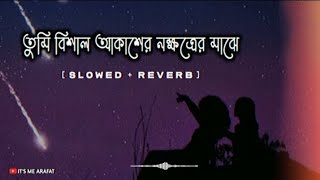 তুমি বিশাল আকাশের নক্ষত্রের মাঝে Lofi Max  আমি মেজর জিয়ার কথা বলছি  Ami Mejor Ziyar Kota Bolci [upl. by Atirec]