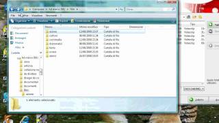 guida masterizzare divx con nero su dvd [upl. by Doowrehs528]