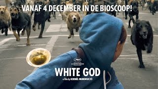 White God Nederlandse trailer [upl. by Eirrod496]