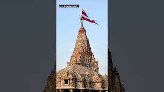 Dhuni re Dhakhavi beli dwarkadhish dwarkatemple krishnastatus murlidhar youtubeshorts shorts [upl. by Ahteres]