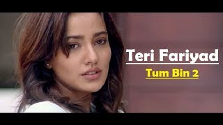 Teri Fariyad Tum Bin 2 Lyrics Translation  Jagjit Singh  Rekha Bhardwaj [upl. by Nevah]