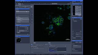 라이브 랩미팅 60 Confocal microscopy 2부 [upl. by Ytsanyd]