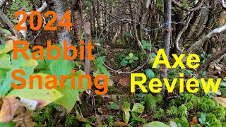 Rabbit Snaring So It Begins 2024 Snaring Season and Axe Review [upl. by Sinnod]