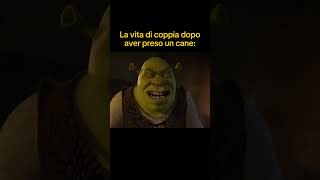 COMMENTA se anche TU hai un CANE😂❤️ memes shorts shrek viral [upl. by Volnak]