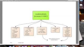 Leukocytosis and Leukopenia [upl. by Aitahs228]