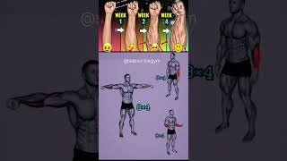 Forearms amp Bicep amp Tricep exercise At home 💪 gym homegym homeworkout subscribegym shorts [upl. by Viveca]