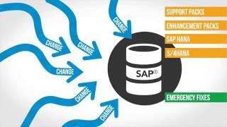 Reduce SAP Application Testing Using LiveCompare [upl. by Neryt805]