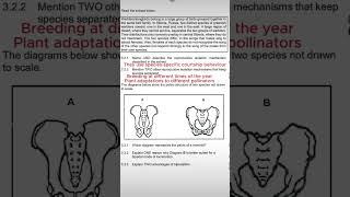 Life sciences grade 12 human evolution thundereduc [upl. by Ormsby]