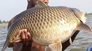 cyprinus fish catching with hand fishing [upl. by Nolita]