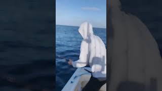 Wide Open Yellowfin Tuna Fishing in San Diego [upl. by Enelyt]