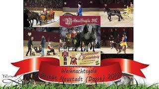 Weihnachtsgala quotNussknacker und Mäusekönigquot Gestüt Neustadt Dosse 2017 Pferde Reiter [upl. by Areema]