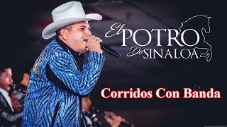 El Potro De Sinaloa  Puros Corridos Viejitos Con Banda Album Completo [upl. by Arvie732]