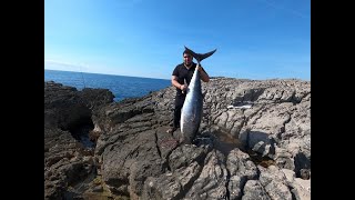 59 KG TUNA LANDBASED WITH SHORE JIGGING TACKLE [upl. by Arrio308]