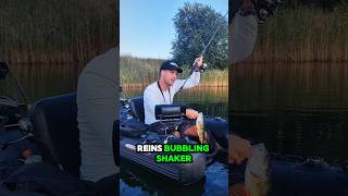 Dicker Barsch auf Chatterbait🎣💯 [upl. by Gilligan]