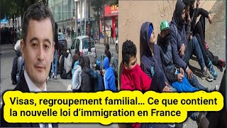 Visas  regroupement familial  Ce que contient la nouvelle loi d’immigration en France [upl. by Sivehc744]