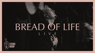 Bread of Life Live  Citipointe Worship [upl. by Ateikan558]