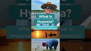 What Is Hypoxia In Marine Ecosystems and the Indian River Lagoon [upl. by Alegnasor705]