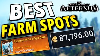 New Players Need To know These Farm Spots New World Aeternum [upl. by Arihsat710]