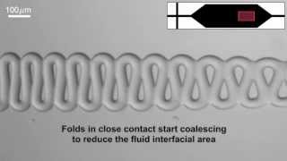 Capillary thread deformation in microfluidic channels [upl. by Rochelle]