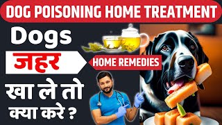 Dog Poisoning Treatment At Home  Symptoms  Home Remedy  In Hindi [upl. by Wilkie580]