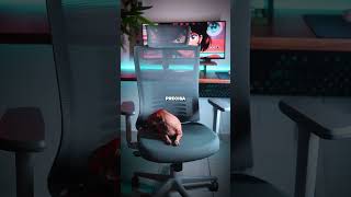 Melhor Cadeira Ergonômica para Setup Gamer [upl. by Mariana]