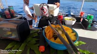 Snorkel Trip With Sea Paradise and Alii Adventures  Kealakekua Bay  Captain Cook [upl. by Acima509]