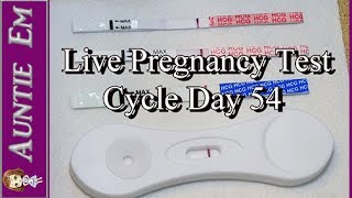 Live Pregnancy Test  Cycle 58 Cycle Day 54 [upl. by Naamana454]