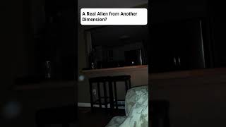 A Real Paranormal Orb Is it an Alien from Another Dimension shorts [upl. by Herates]