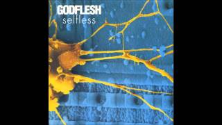 Godflesh  Go Spread Your Wings [upl. by Ainahs]